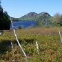 Jordan Pond dans le Parc Acadia <br />qui se donne des airs de Lac Louise en Colombie-Britannique